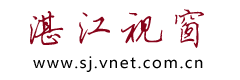 湛江视窗logo